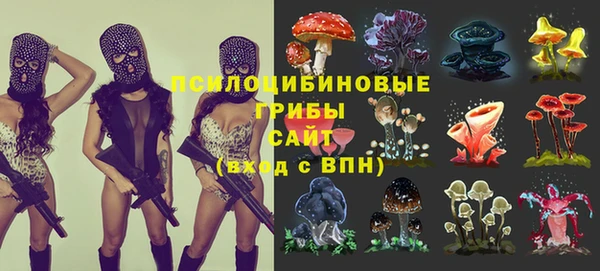 стафф Бородино